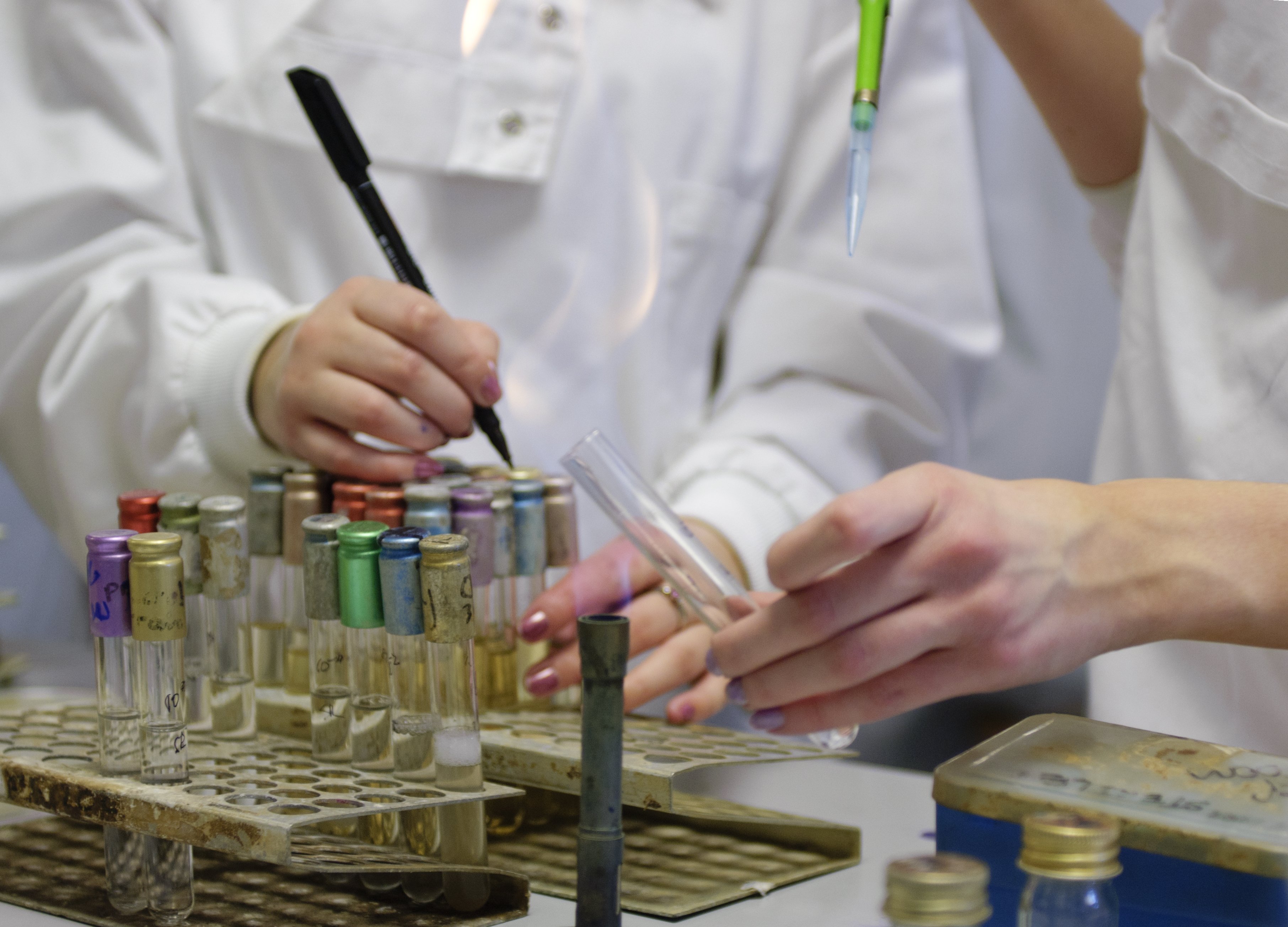 Students labelling test tubes
